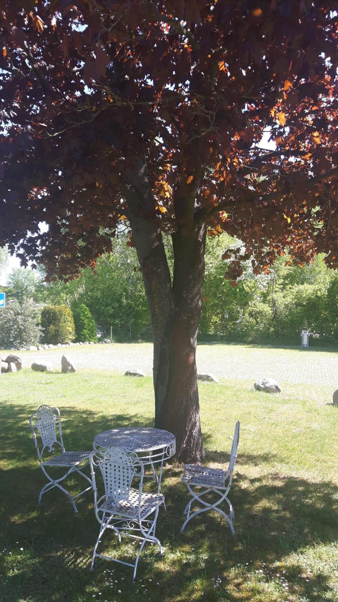 Motel Route 216 Gohrde Dış mekan fotoğraf